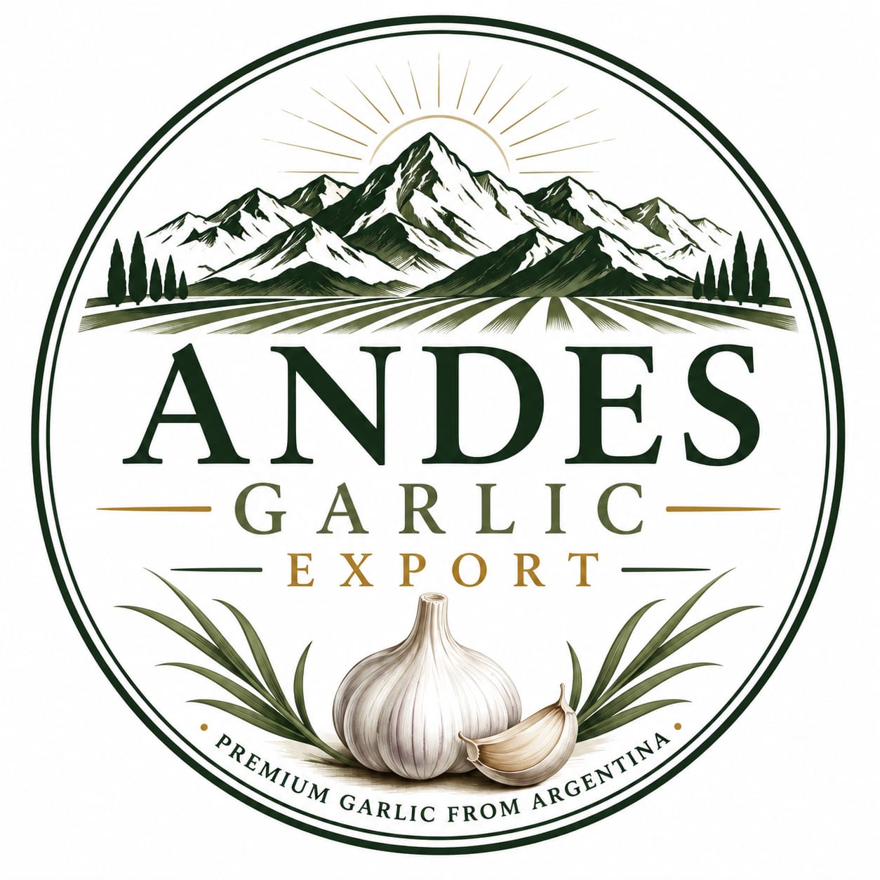 Andes Garlic Export