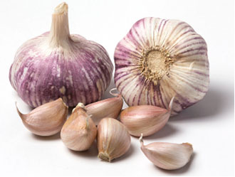 Ajo Violeta